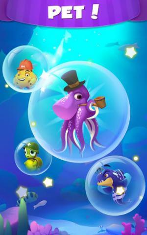 Rất nhiều thú cưng