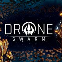 Drone Swarm