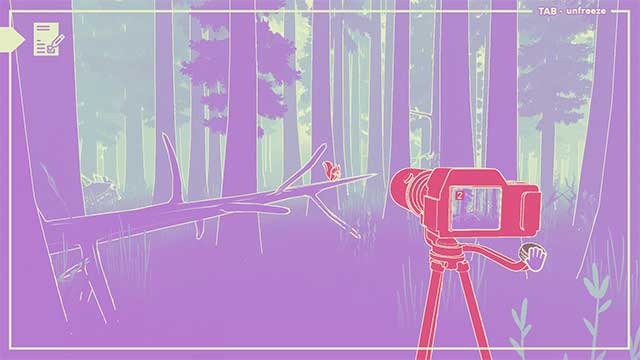 Bố trí các camera một cách hợp lý để ghi lại rõ nét nhất hoạt động của bầy sóc