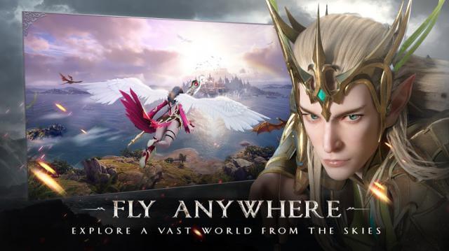 Bay lượn khắp mọi nơi