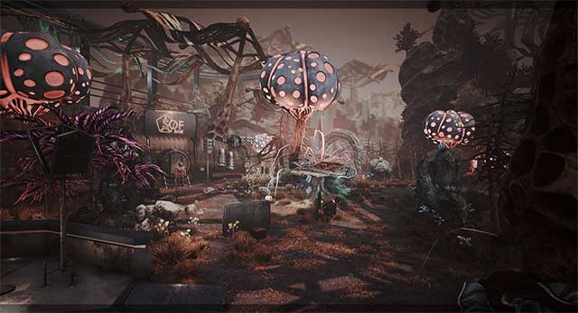 Tận hưởng vẻ đẹp huyền bí ngoài không gian