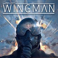 Project Wingman