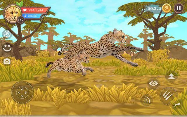 Vào vai một động vật và cố gắng sinh tồn trong thế giới hoang dã của game WildCraft