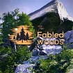 🖼️