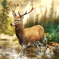 Hunting Clash cho iOS