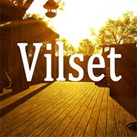 Vilset