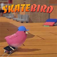 SkateBIRD