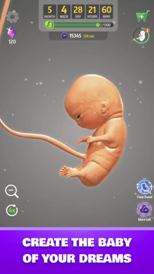 Chứng kiến quá trình hình thành thai nhi