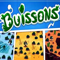 Buissons