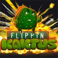 Flippin Kaktus