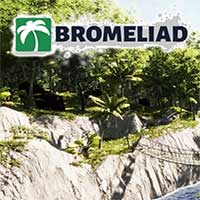 Bromeliad