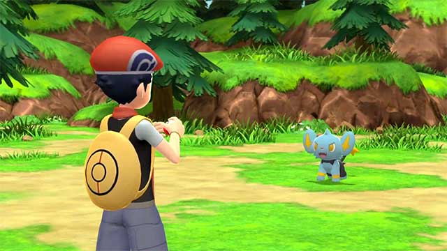 Trên đường đi, bạn có thể sẽ chạm trán nhiều loài Pokémon quen thuộc