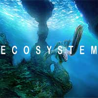 Ecosystem