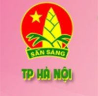 Cuộc thi tìm hiểu về lịch sử 80 năm thành lập Đội TNTP Hồ Chí Minh