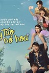 Cây táo nở hoa