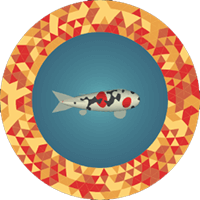 Koi Farm