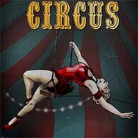 The Amazing American Circus