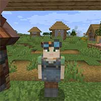 Village Employment Mod