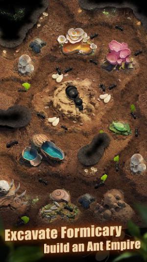 Xây dựng vương quốc kiến của bạn trong game The Ants Underground Kingdom