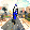 🖼️