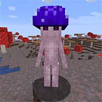 Leos Mushrooms Mod