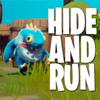 Hide and Run