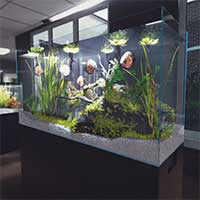 Aquarist