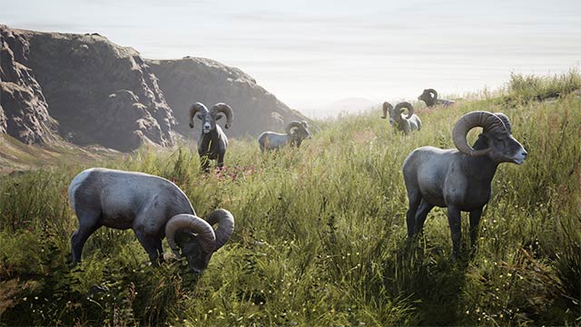 Artemishea sở hữu đồ họa cực đẹp và chi tiết