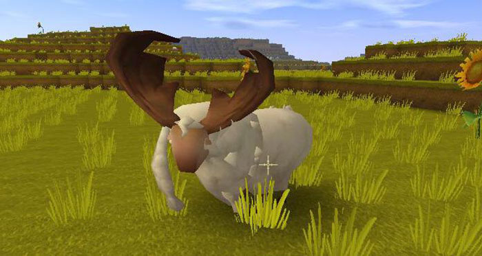 Dê đóng vai trò cung cấp bông và giường ngủ cho người chơi