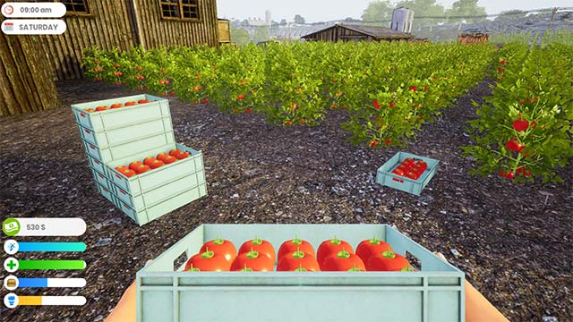 Trồng trọt và chăn nuôi trong game Farmer Life Simulator