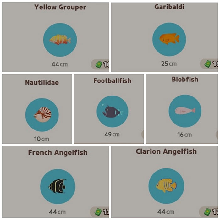 Cá hiếm nền màu xanh, có tỷ lệ xuất hiện nhiều hơn so với cá huyền thoại