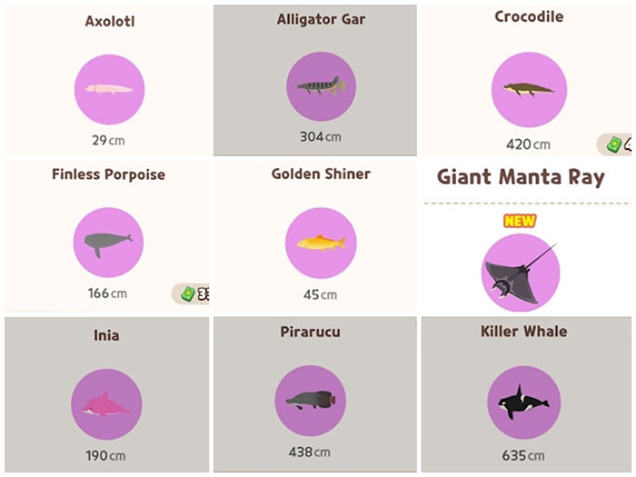 Những loài cá huyền thoại, siêu quý hiếm có nền màu hồng tím