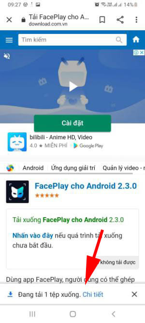 FacePlay cai dat 3*282009