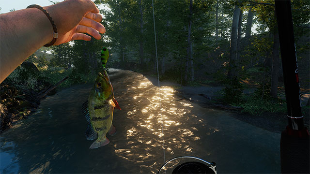 Ultimate Fishing Simulator II mô phỏng chân thực trải nghiệm câu cá tại nhiều địa điểm