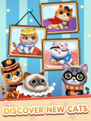 Mở khóa những loài mèo mới