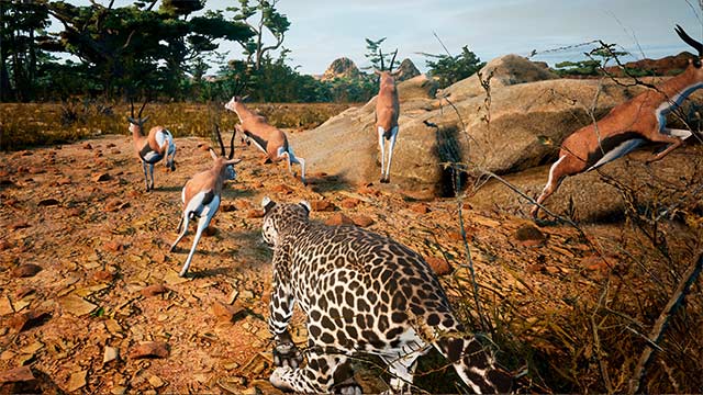 Animalia Survival thách thức kỹ năng sinh tồn của người chơi ở Lục địa châu Phi
