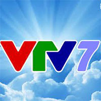 VTV7