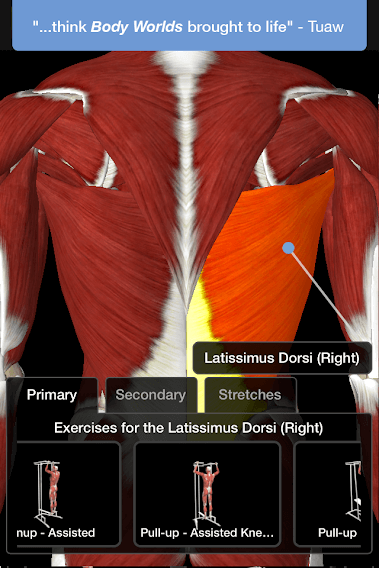 iMuscle 2 2*299406