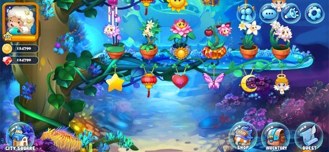 Thỏa sức trồng những loài hoa mình thích