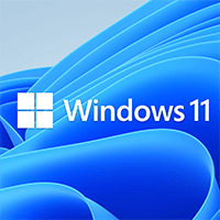 Windows 11 Installation Assistant