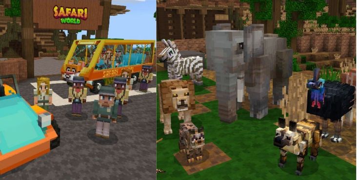 Người chơi cần chụp ảnh các động vật hoang dã trong Safari World