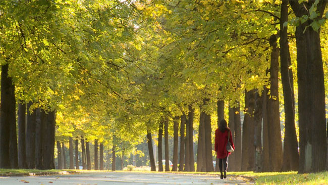 Mátxcơva - Mùa thay lá