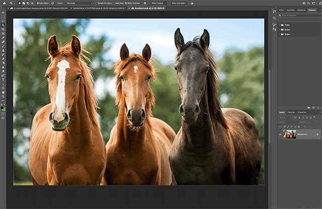 Nếu muốn dùng thử Adobe Photoshop Online, bạn có thể đăng ký trước