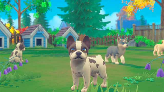 Đưa pet đi dạo để kết bạn mới trong cộng đồng My Universe - Puppies & Kittens