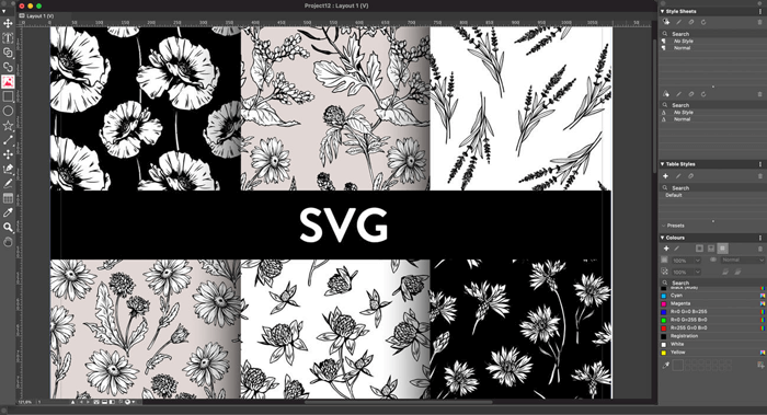 Import SVG