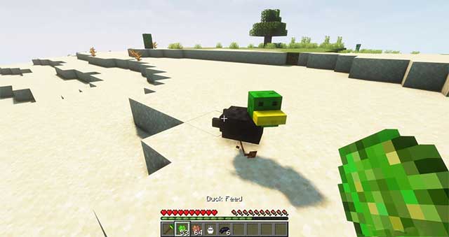 Bạn phải nuôi một số loại vịt nhất định để có được loại vịt mới