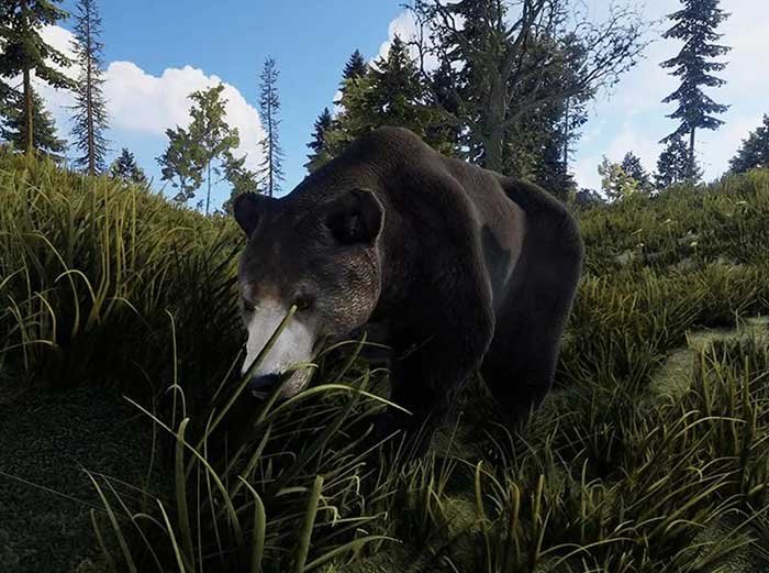 Trong Rust có rất nhiều loài động vật hoang dã như gấu, chó sói, lợn rừng,... có thể tấn công và gây nguy hiểm cho nhân vật