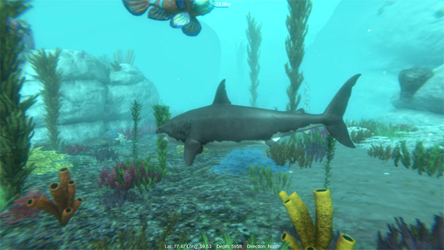 Alpha Shark đưa bạn vào chuyến phiêu lưu khám phá đại dương dưới góc nhìn của cá mập trắng