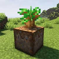 Planting Dirt for Saplings Mod