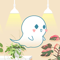 Love, Ghostie